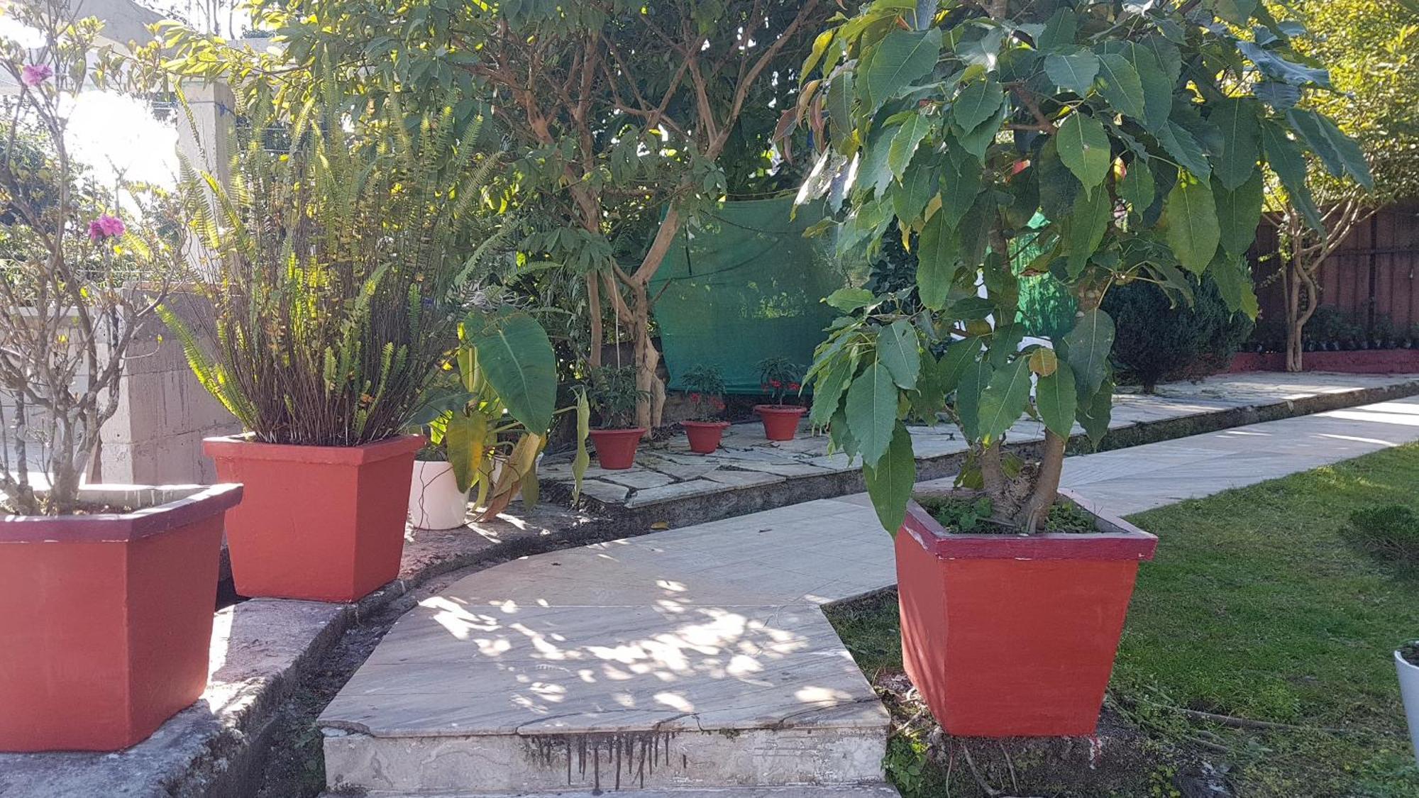 Takdah Heritage Bungalow No 10 מראה חיצוני תמונה